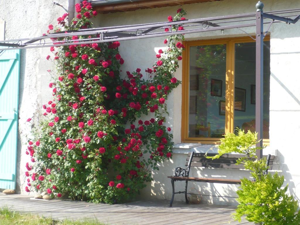 Les Garennes Hotel Saint-Uze Kültér fotó
